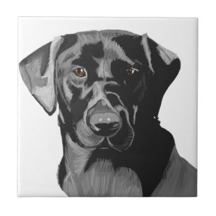 Black Labrador Portrait  Fliese