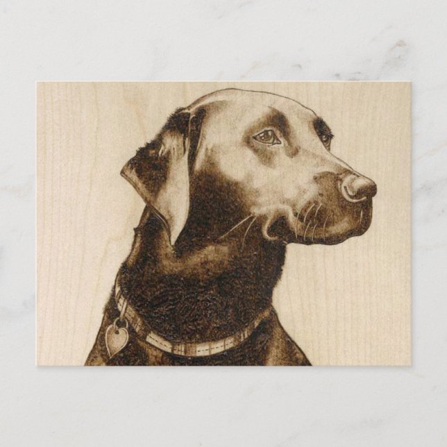 Black Labrador Postkarte (Vorderseite)