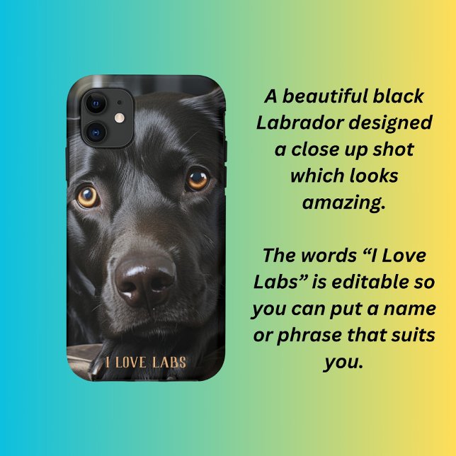 Black Labrador Puppy Case-Mate iPhone Hülle (Von Creator hochgeladen)