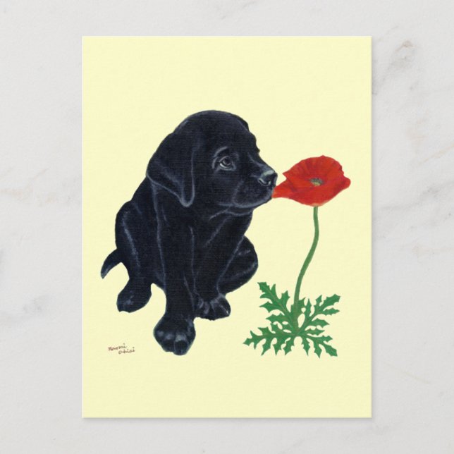 Black Labrador Puppy Postkarte (Vorderseite)