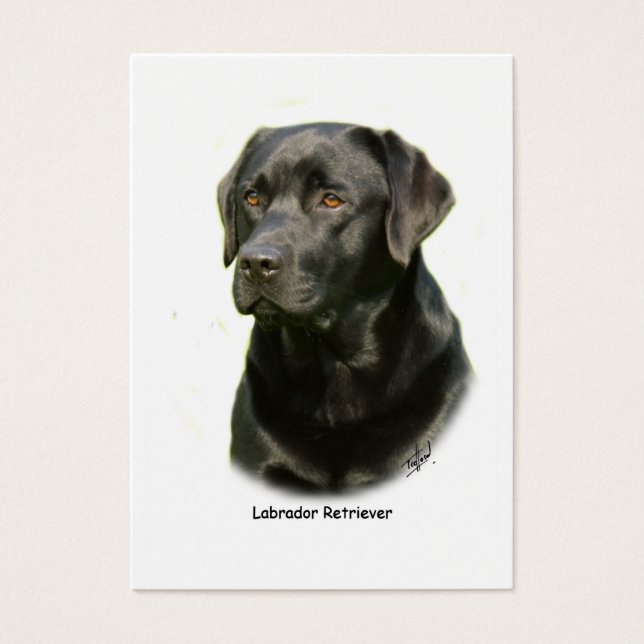 Black Labrador Retriever (Vorderseite)