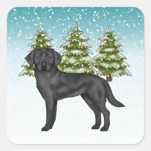 Black Labrador Retriever Blue Snowy Winterwald Quadratischer Aufkleber