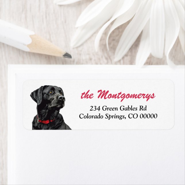 Black Labrador Retriever Dog Return Address (Insitu)