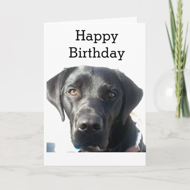 Black Labrador Retriever Happy Birthday Karte (Vorderseite)