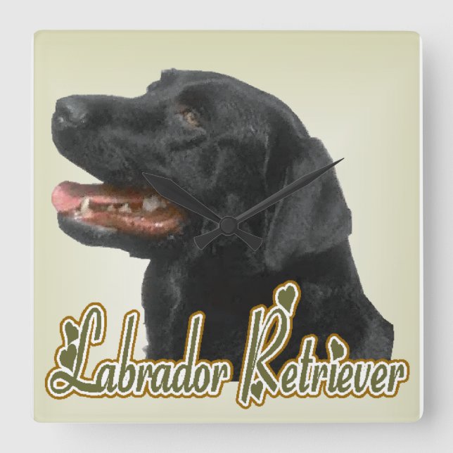 Black Labrador Retriever Kunst Geschenke Quadratische Wanduhr (Vorderseite)
