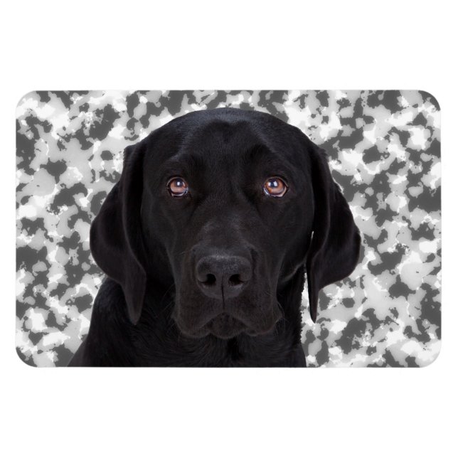 Black Labrador Retriever Magnet (Horizontal)