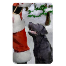 Black Labrador Retriever mit Weihnachten