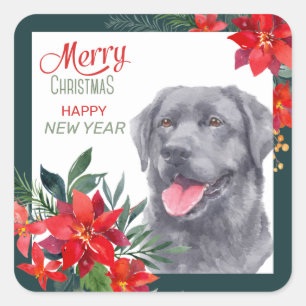 Black Labrador Retriever Poinsettia Bouquet Quadratischer Aufkleber