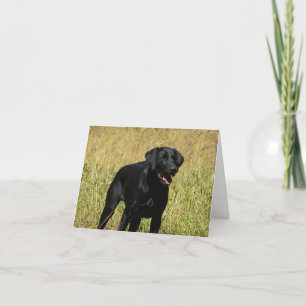 Black Labrador Retriever Puppy Doppy Blank Note Ca Karte