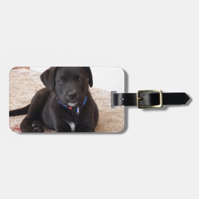 Black Labrador Retriever Puppy Gepäckanhänger (Vorderseite horizontal)