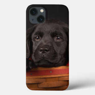 Black Labrador Retriever Puppy in Basketball Case-Mate iPhone Hülle