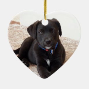 Black Labrador Retriever Puppy Keramik Ornament
