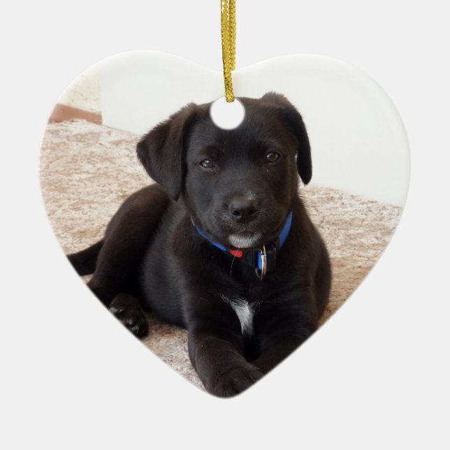 Black Labrador Retriever Puppy Keramik Ornament (Vorne)