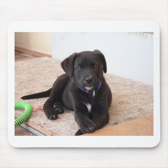 Black Labrador Retriever Puppy Mousepad (Vorne)