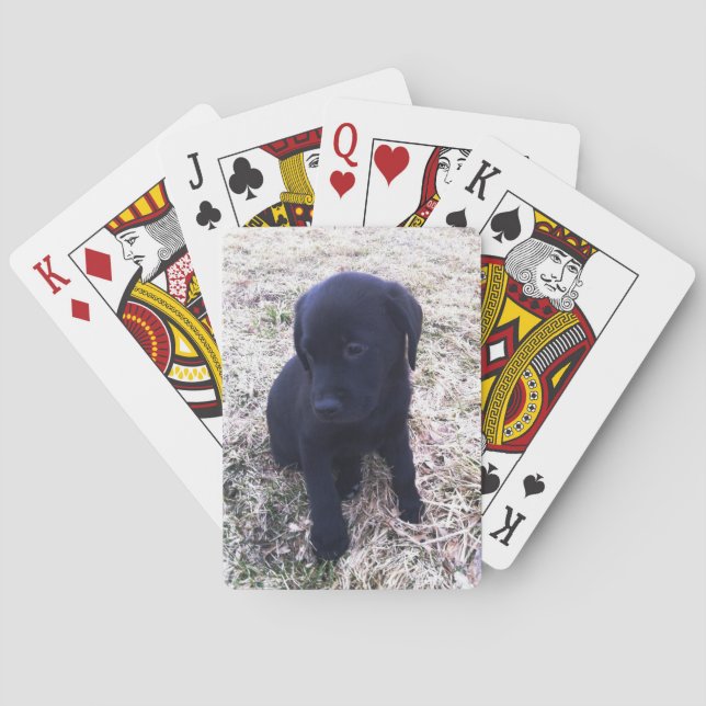 Black Labrador Retriever Puppy Spielkarten (Rückseite)