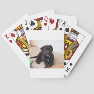 Black Labrador Retriever Puppy Spielkarten