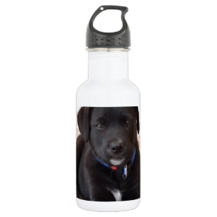Black Labrador Retriever Puppy Trinkflasche