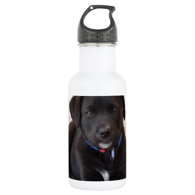 Black Labrador Retriever Puppy Trinkflasche (Vorderseite)