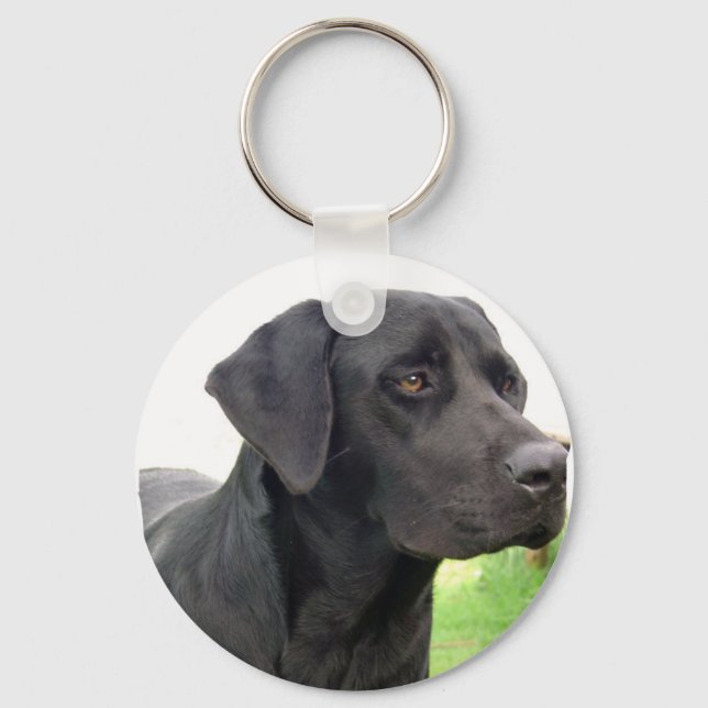 Black Labrador Retriever Schlüsselanhänger (Vorderseite)