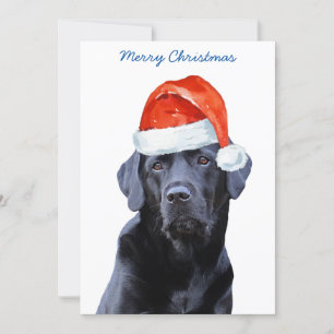 Black Labrador Retriever Weihnachten Niedlicher We