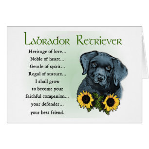 Black Labrador Retriever Welpengeschenke