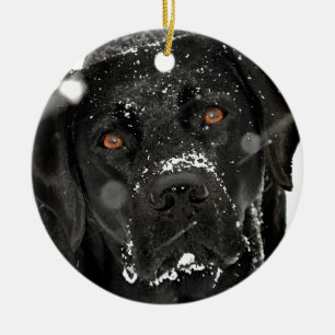 Black Labrador - Snow Globe Keramik Ornament
