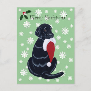 Black Labrador & Weihnachtsmannmütze Snowflake Wei Feiertagspostkarte