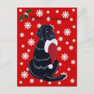 Black Labrador & Weihnachtsmannmütze Snowflake Wei Feiertagspostkarte