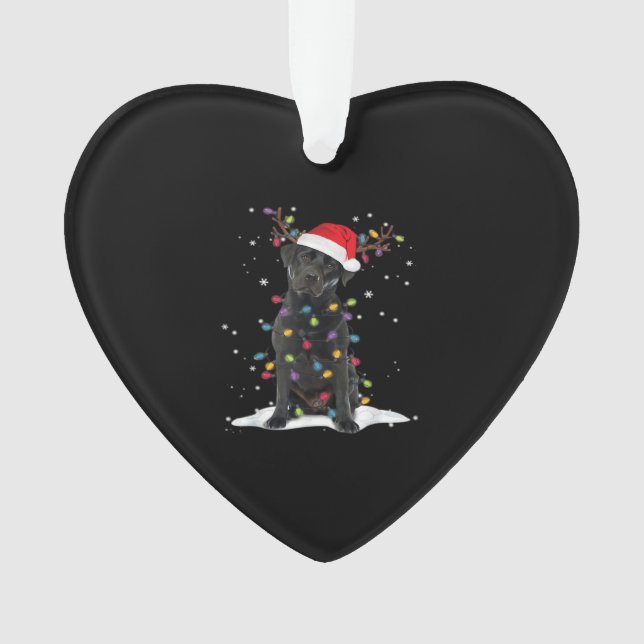 Black Labrador Xmas Dog Christmas Tree Light Class Ornament (Vorderseite)