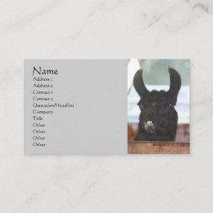 Black Lama Farm Animal Business Card Visitenkarte