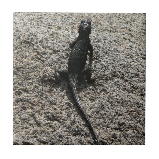 Black Lizard Fliese (Vorderseite)