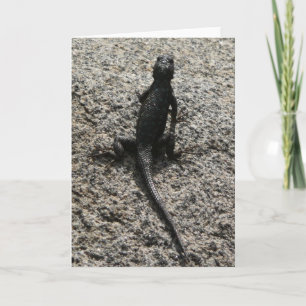 Black Lizard Karte