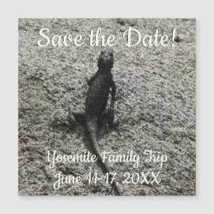 Black Lizard Magnetkarte