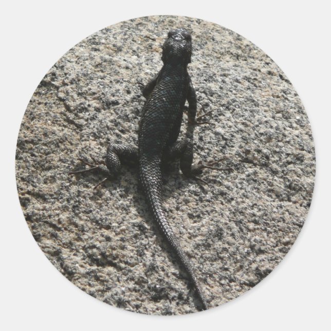 Black Lizard Runder Aufkleber (Vorderseite)