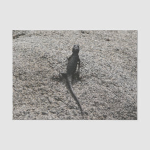 Black Lizard Seidenpapier