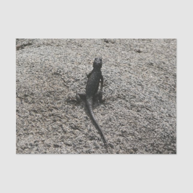 Black Lizard Seidenpapier (Vorderseite)