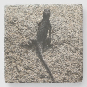 Black Lizard Steinuntersetzer