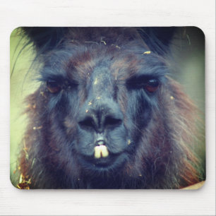 Black Llama Face Animal Mousepad