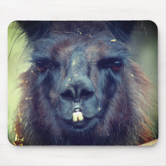 Black Llama Face Animal Mousepad (Vorne)