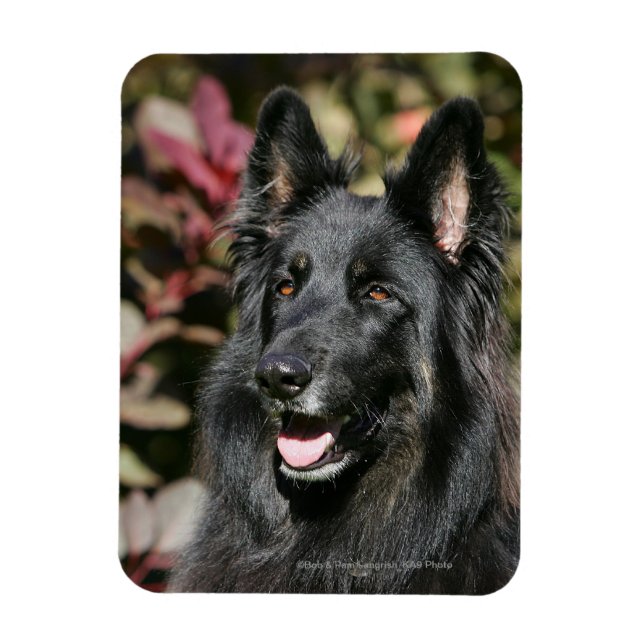 Black Long Haired German Shepherd Magnet (Vertikal)