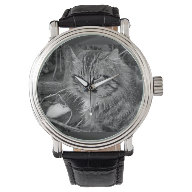 Black Maine Coon Cat Band Watch Armbanduhr (Vorderseite)