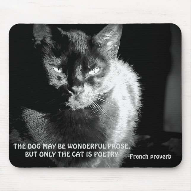 Black Maine Coon Cat mit französischem Poverb Mousepad (Vorne)