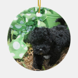 Black Maltipoo Puppy Keramik Ornament