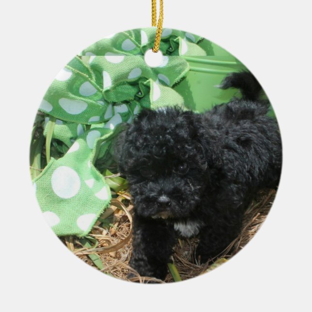Black Maltipoo Puppy Keramik Ornament (Vorne)