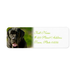Black Mastiff Mailing Labels