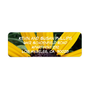 Black Mit Augen Susan MD Blume