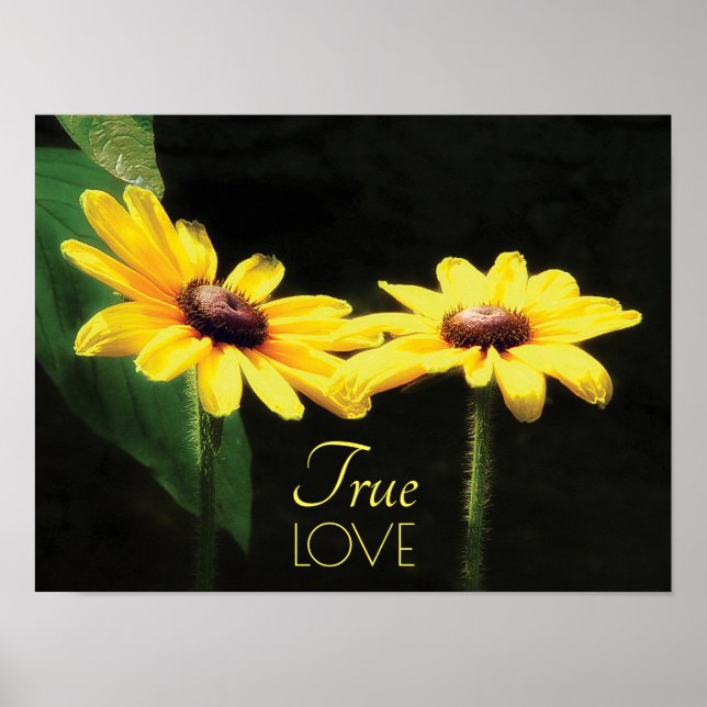 Black Mit Augen Susan Wine Love Poster (Vorne)