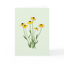 Black Mit Augen Susans Blume