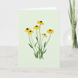 Black Mit Augen Susans Blume