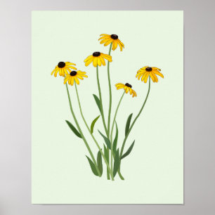 Black Mit Augen Susans Blume Fine Art Poster